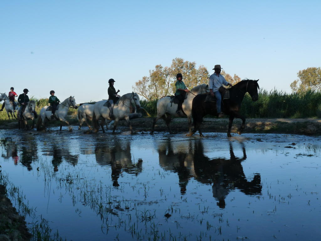Bergerie D'Alivon En Camargue Bed & Breakfast Albaron ภายนอก รูปภาพ